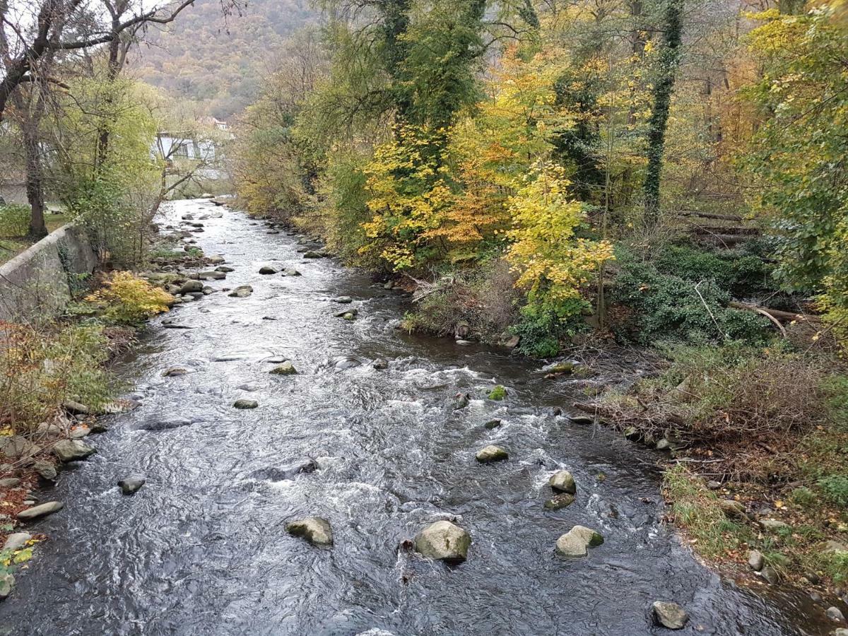 FeWo am Moorteich Thale Buitenkant foto
