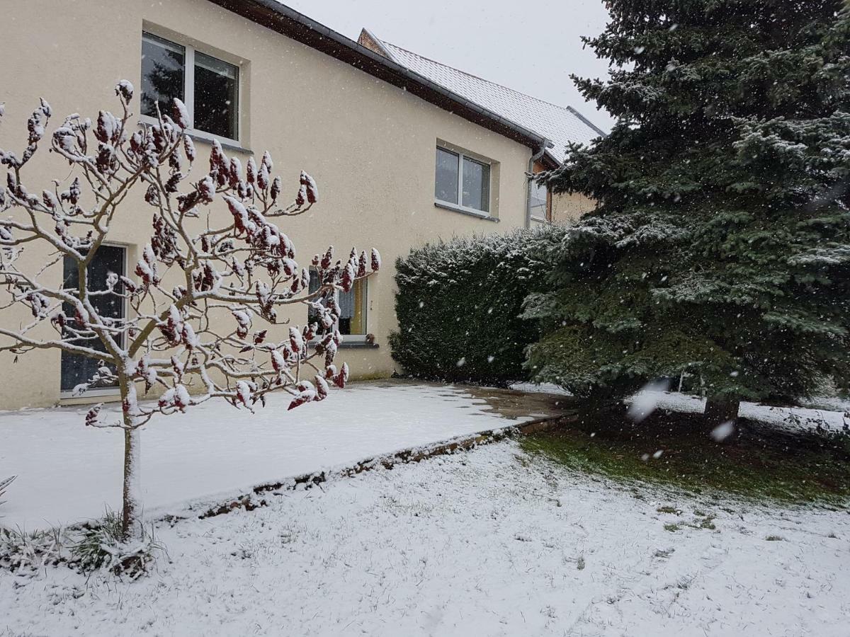 FeWo am Moorteich Thale Buitenkant foto