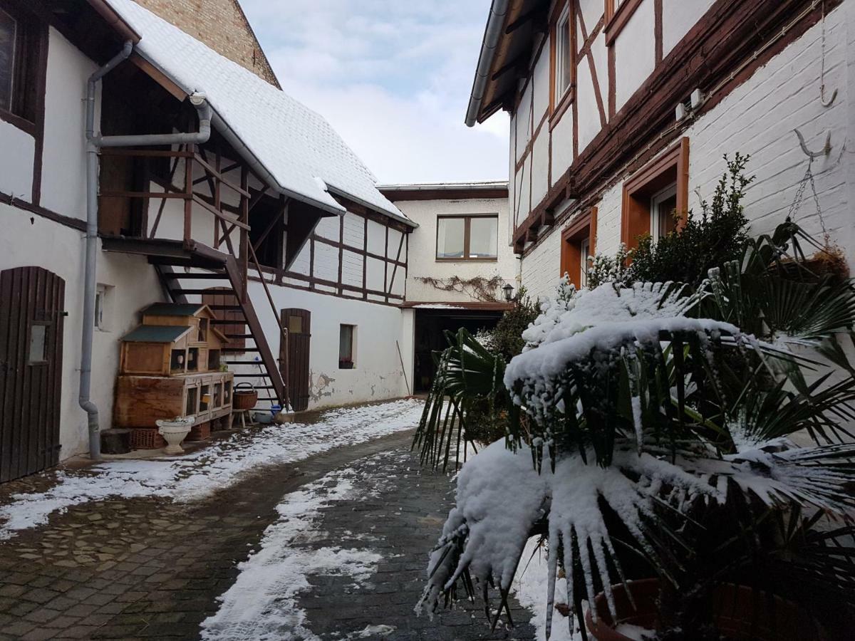 FeWo am Moorteich Thale Buitenkant foto